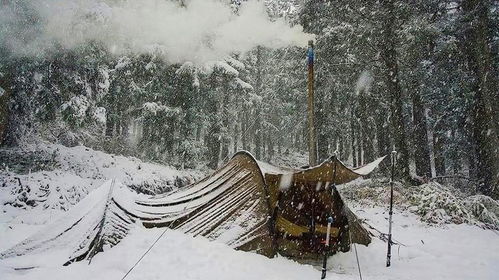 女梦见鹅毛大雪，这是否是食物的胎梦？揭秘梦境背后的深层含义与预兆