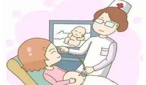 孕期梦境的奥秘，从三条死鱼到杏子三分的启示