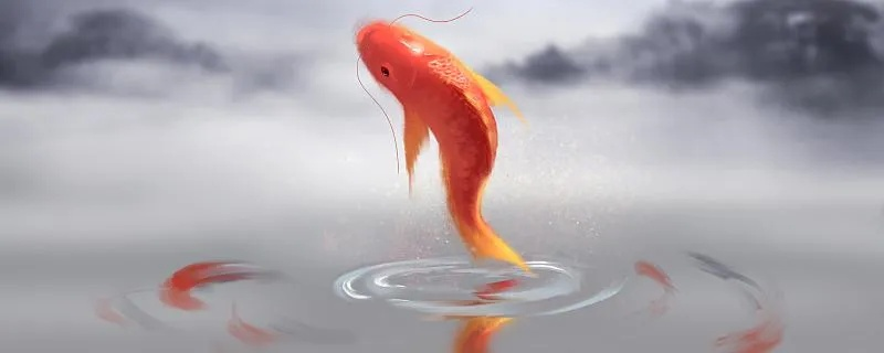 梦境奇观，老家河里跃出巨鱼，寓意与解析