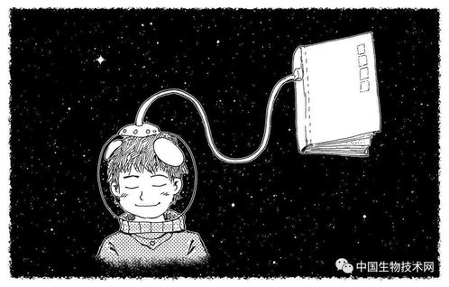 梦见剪刀掉厕所，解析梦境背后的深层含义与心理暗示