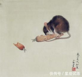 梦见老鼠变蛇被我掐死，梦境背后的深层解析与心理启示