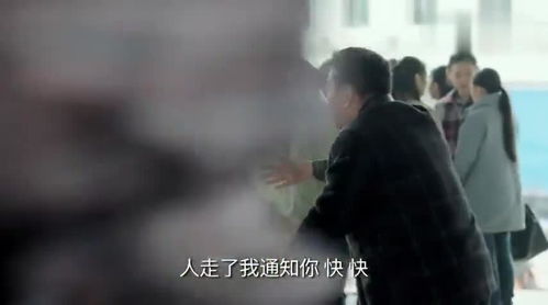 梦境解析，偷杀白鸡并弃鸡毛于井中的深层含义