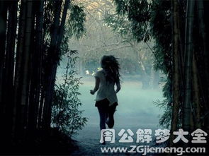 连续几天梦见恋人，梦境背后的情感密码与心灵探索