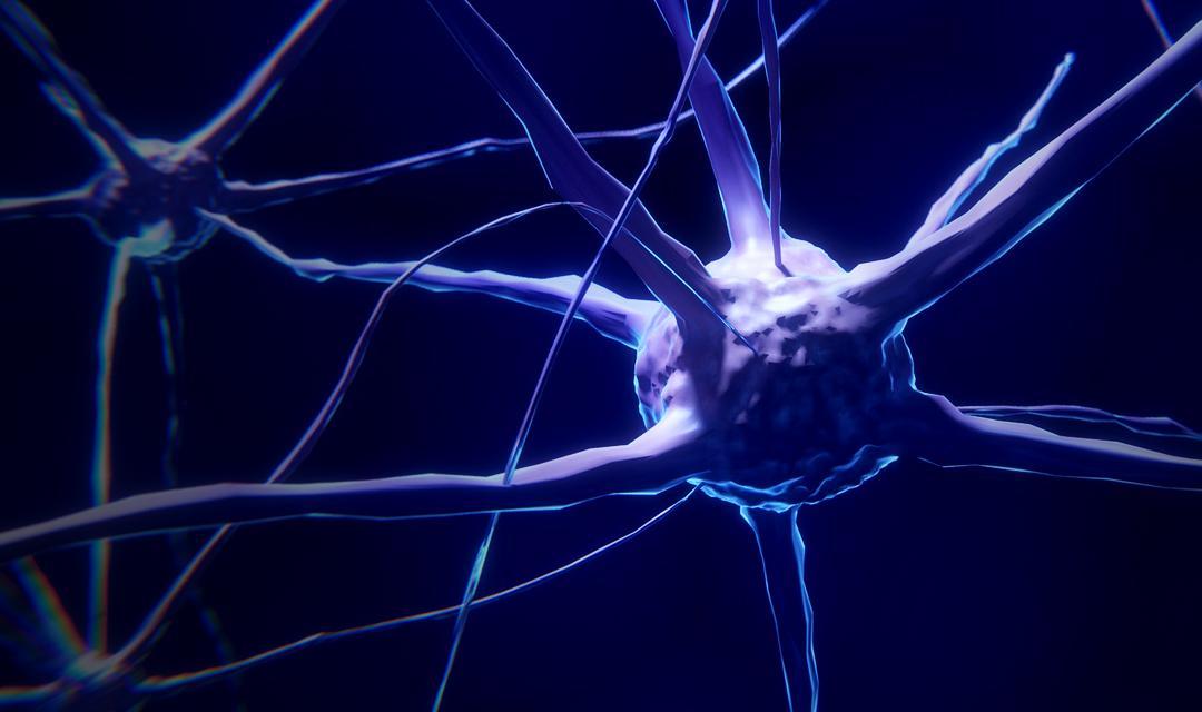 前女友来电梦境解析，潜意识中的情感回响与自我探索