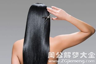 梦见自己梳头发，预示新开始与自我整理的预兆