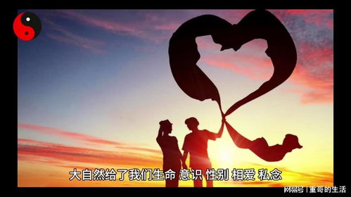 梦境启示，父母之意与生命传承的深层寓意