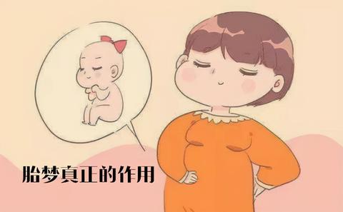 老公梦见我们有孩子了还叫孩子的名字了，探索梦境与现实的交织——一场关于胎梦的深度解析