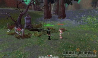 梦境解析，僵尸追逐的奇幻夜——探索梦境中的恐惧与逃避