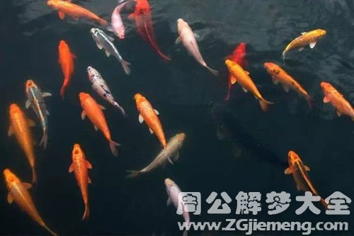 梦见河流并看见很多鱼却未抓住，探索潜意识的隐喻与启示