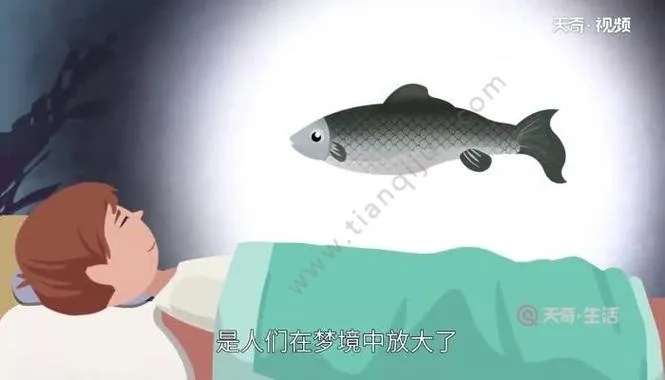 梦境解析，梦见生鲤鱼与抱男孩的深层含义