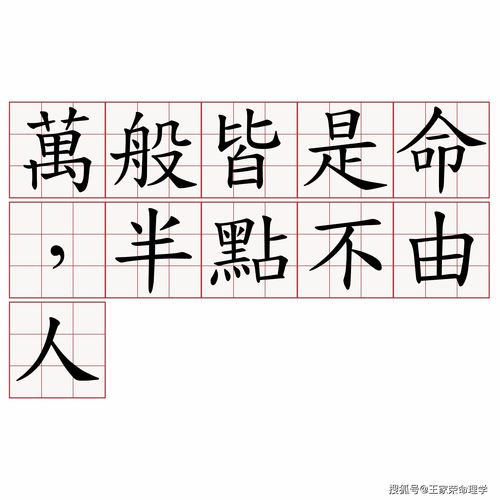 做梦梦见笤帚，解读梦境中的深层含义与买笤帚的吉凶宜忌