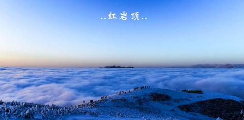 梦境中的奇迹，银白大鱼共舞，池塘鱼群繁盛的奥秘