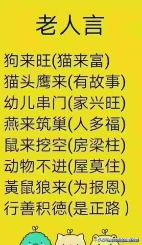 梦境中的温馨呼唤，解析梦见爸妈叫我吃饭的深层含义