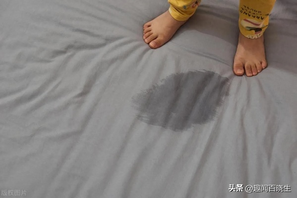 做梦梦见上厕所醒了就尿床，深度解析梦境背后的心理与生理机制