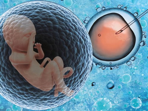 梦境解析，怀孕生人脸兔子128048的深层含义与心理暗示