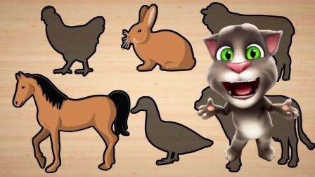 周公解梦，兔子变猫之谜——探索梦境中的奇妙转变