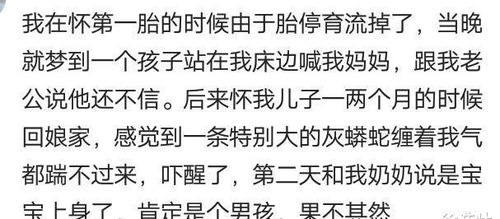 我朋友梦到我出车祸死了，解梦背后的深层含义与心理分析