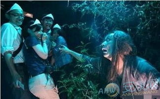 女生梦见两条大蛇，梦境背后的深层含义与解析