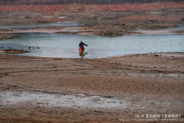 梦探北岸，干涸河流中的捉鱼奇遇