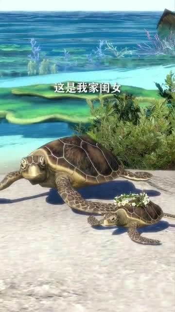 梦境奇遇，大乌龟、忠诚之犬与捕鱼的奇妙交织
