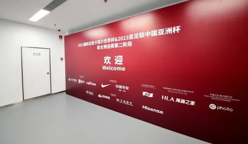 梦见家人共聚球场，家庭和谐与情感纽带的象征