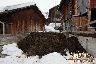 梦境中的污秽，解析梦到自己的床上有粪坑而且被褥稍微沾了些粪的深层含义
