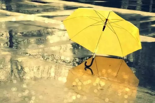昨晚梦见下雨天打的烂伞，梦境背后的深层含义与解析