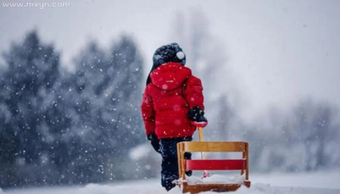 梦境中的雪舞奇缘，解析做梦梦到下了好大的雪纷纷扬扬漫天飞舞的深层含义