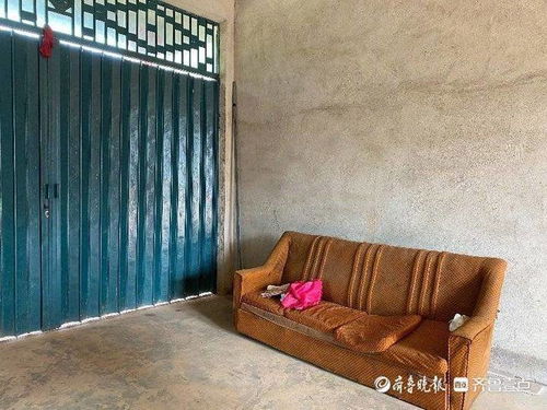 梦见家里沙发处有小孩拉的一砣砣屎，解读梦境背后的深层含义