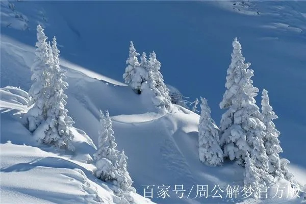 梦境中的银装素裹，梦见下雪且雪越下越大，寓意与解析