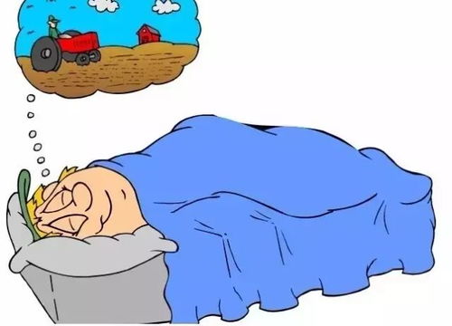 梦境的启示，面对梦见老公跟我吵架他自杀了我好伤心的深层解析与心灵慰藉