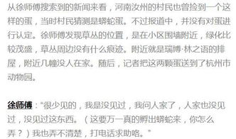 梦见舍很多鸡蛋是什么号码，解读梦境中的寓意与数字密码