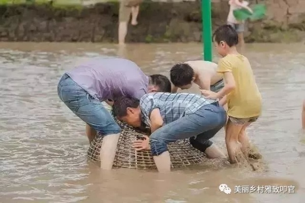 梦境探秘，与父母的池塘奇遇——解读梦中摸鱼捉龟的深层含义