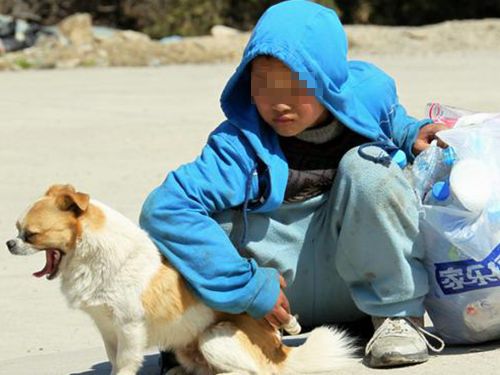 梦回往昔，泪洒梦境，爷爷奶奶与多年爱犬的离别