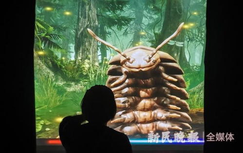 解梦狐狸，探寻梦境中的神秘访客