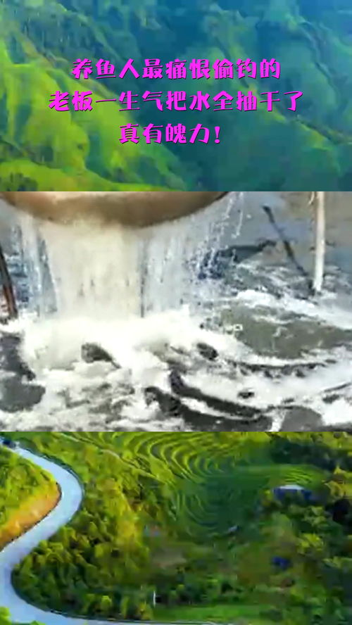 梦见浇地抽干了水，解读梦境中的象征与启示