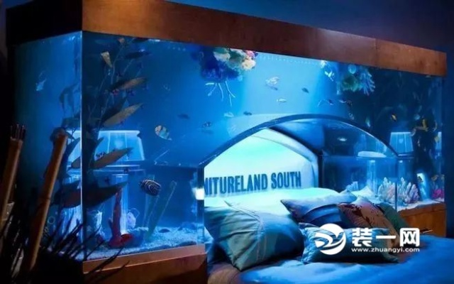 年初二梦境奇遇，足球场大小的鱼缸与50万回水的神秘寓意