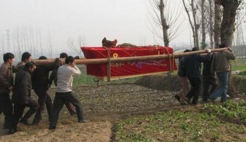 梦见黑蛇白蛇两条蛇追着自己追了一上午，解读梦境中的象征与启示