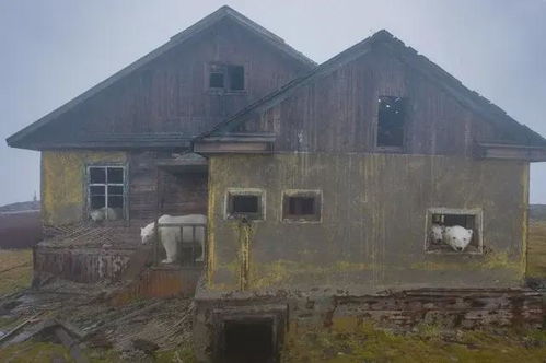 探索梦境中的震撼，解析我梦见地震过后房屋倒塌天昏地暗的深层含义