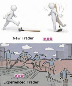 梦境奇遇，捡到韭菜与黄瓜的寓意解析