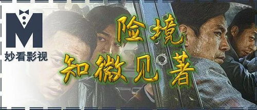 梦见与男友共赴险境，鬼影重重与蛇行归途的深层解析
