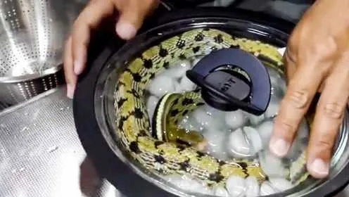 梦境中的奇异烹饪，未杀之蛇在锅中游，水沸蛇存