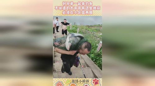 梦境中的手足情深，与兄弟共捕巨嘴鱼的意义探索