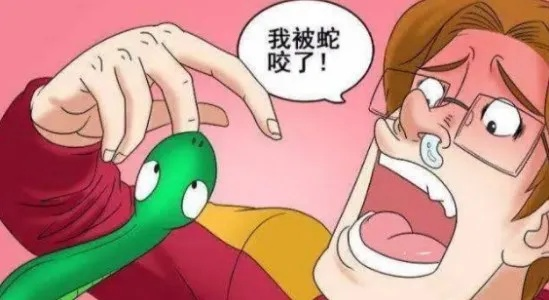 女人梦中遭遇蛇咬，潜意识深处的警示与启示