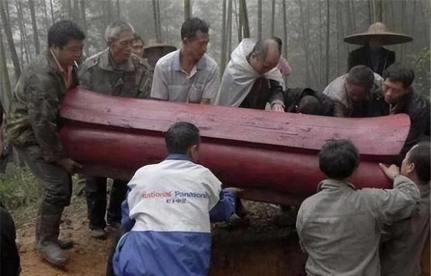 昨晚做梦梦见了棺材和死人，解读梦境中的生死意象与心理暗示