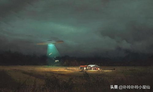 梦境奇观，一棵树插在另一棵树上——探索深层象征与内心启示