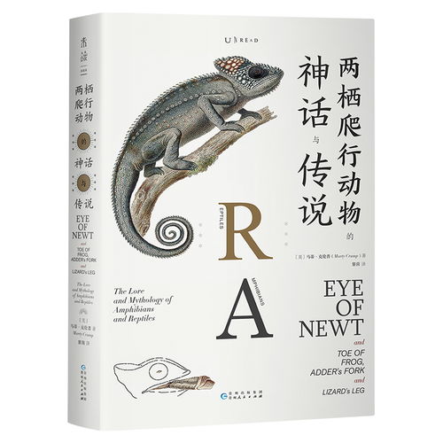 梦到自己吃蜥蜴，探索潜意识中的奇异之旅