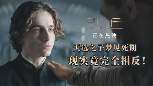 野兽追杀我们，梦境背后的深层含义与解梦帮助