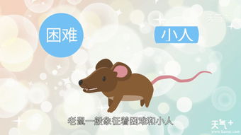 梦到老鼠一家人，探索梦境背后的深层含义