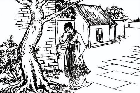 梦见癞蛤蟆跳到我身上，解读梦境中的奇异象征